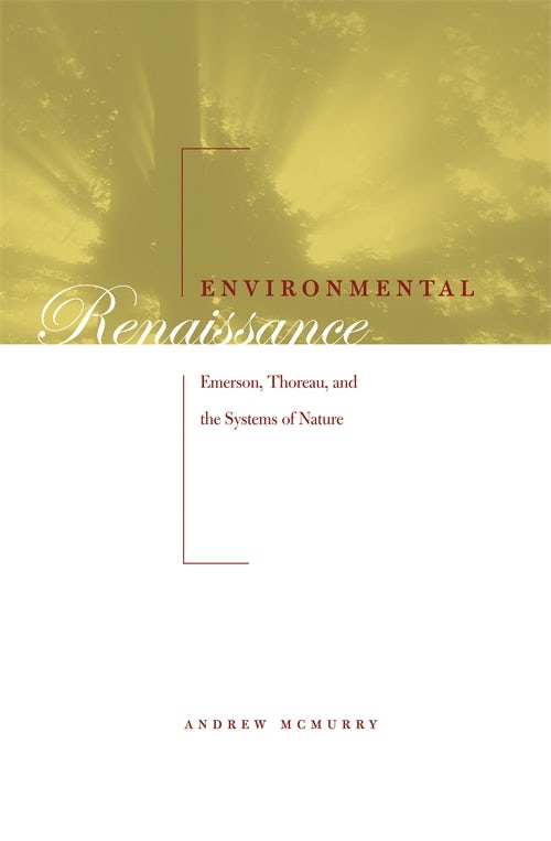 【中古】 Understanding Environmental Philosophy/ROUTLEDGE/Andrew Brennan Understanding Environmental Philosophy - 1st Edition