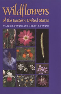Wildflowers of the Eastern United States