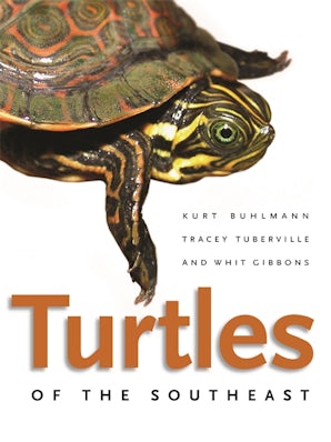 Turtle Twins – The Tropical Brush