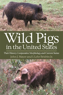 Wild Pigs in the United States