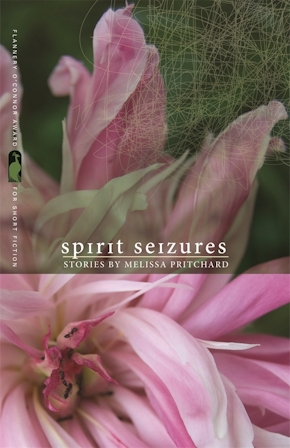 Spirit Seizures