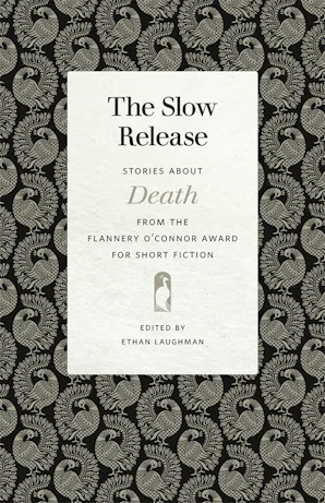 Anne Raeff The Slow Release