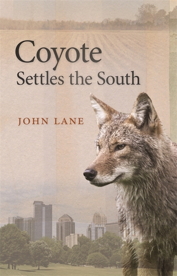 Coyote Settles the South