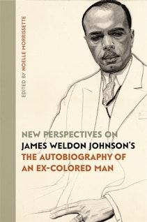 New Perspectives on James Weldon Johnson