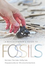 A Beachcombers Guide to Fossils