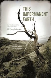 This Impermanent Earth