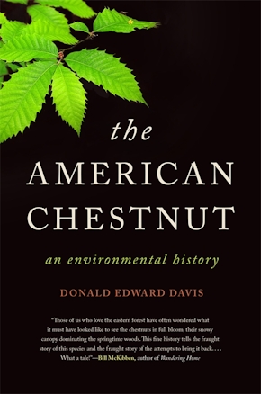 The American Chestnut