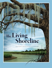 The Living Shoreline