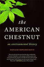 The American Chestnut