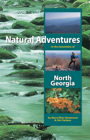 Natural Adventures in the Mountains of North Georgia